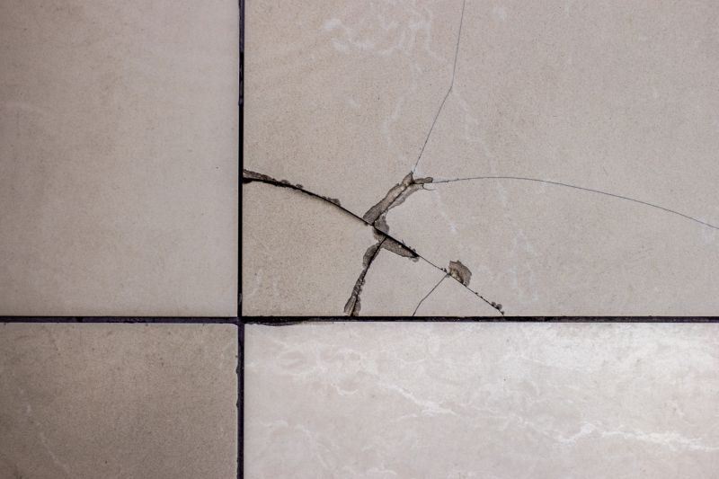 Cracked Tile Repair
